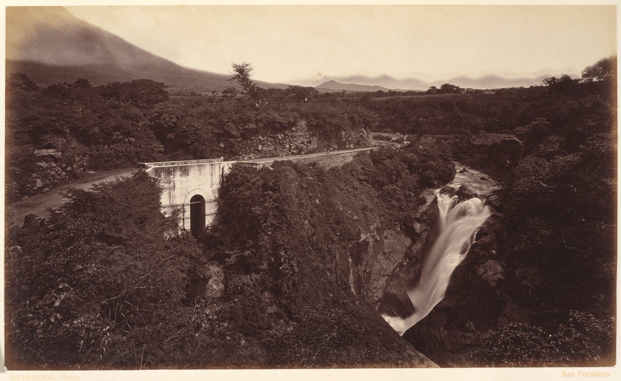  by Eadweard Muybridge