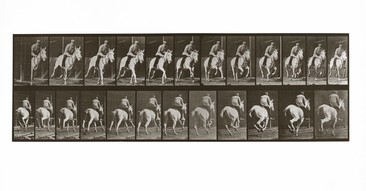 Binicili Dörtnala At, Plaka 635, Animal Locomotion, 1887 by Eadweard Muybridge
