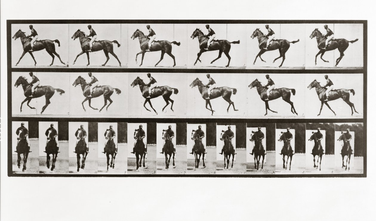 At ve Binici, Hayvan Hareketinden Plaka 621, 1887 by Eadweard Muybridge