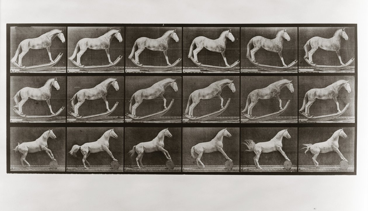 Sallanan Atlar ve Namlu Yuvarlayan At, Animal Locomotion