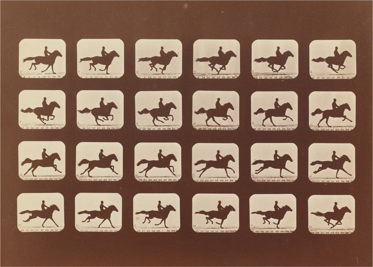Atlar. Koşma. Phyrne L. No. 40 by Eadweard Muybridge