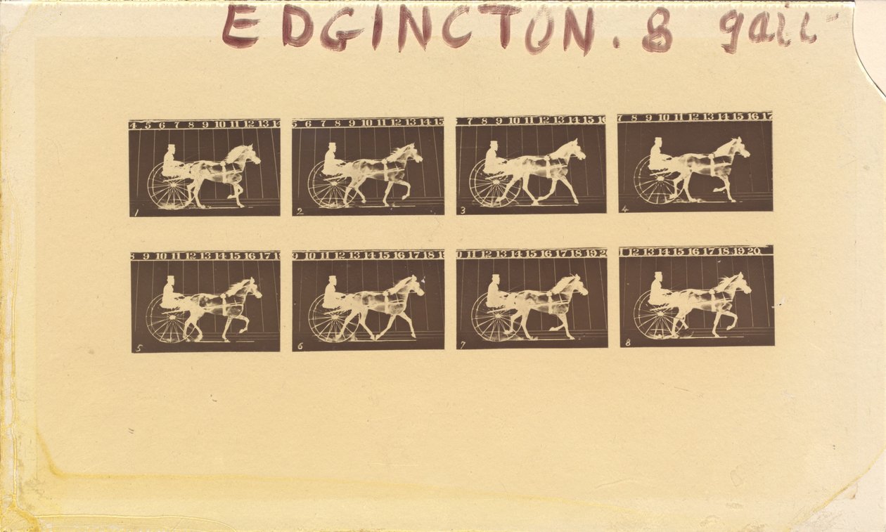 Atlar için Negatif. tırıs. Abe Edgington. 28 by Eadweard Muybridge
