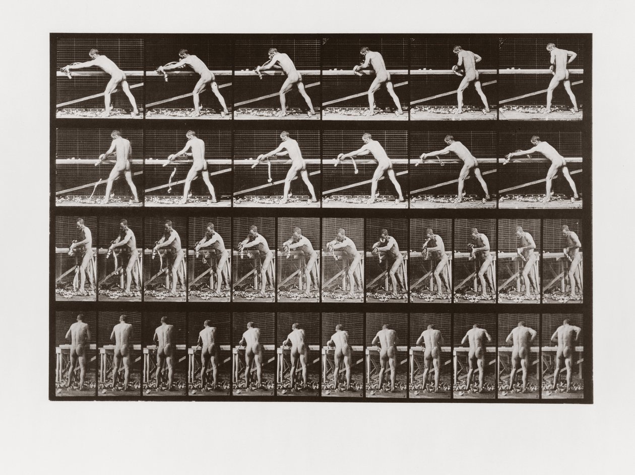 Odun planyalayan adam, Animal Locomotion