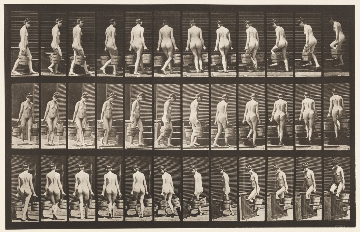 Levha 104. Dönen ve Çıkan Merdivenler, İki Elinde Kova Su, 1872-1885 by Eadweard Muybridge