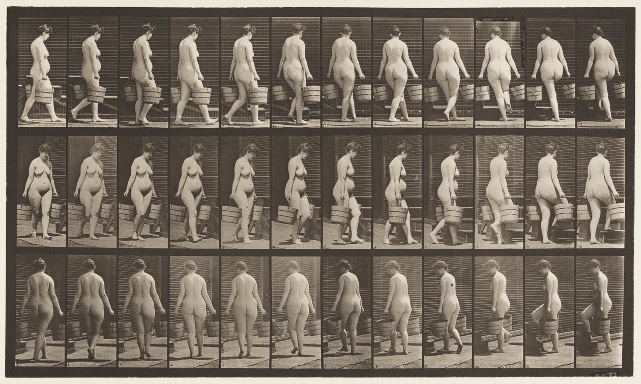 Levha 106. Merdivenleri Çıkmak İçin Dönmek, İki Elinde Bir Kova Su, 1872-1885 by Eadweard Muybridge
