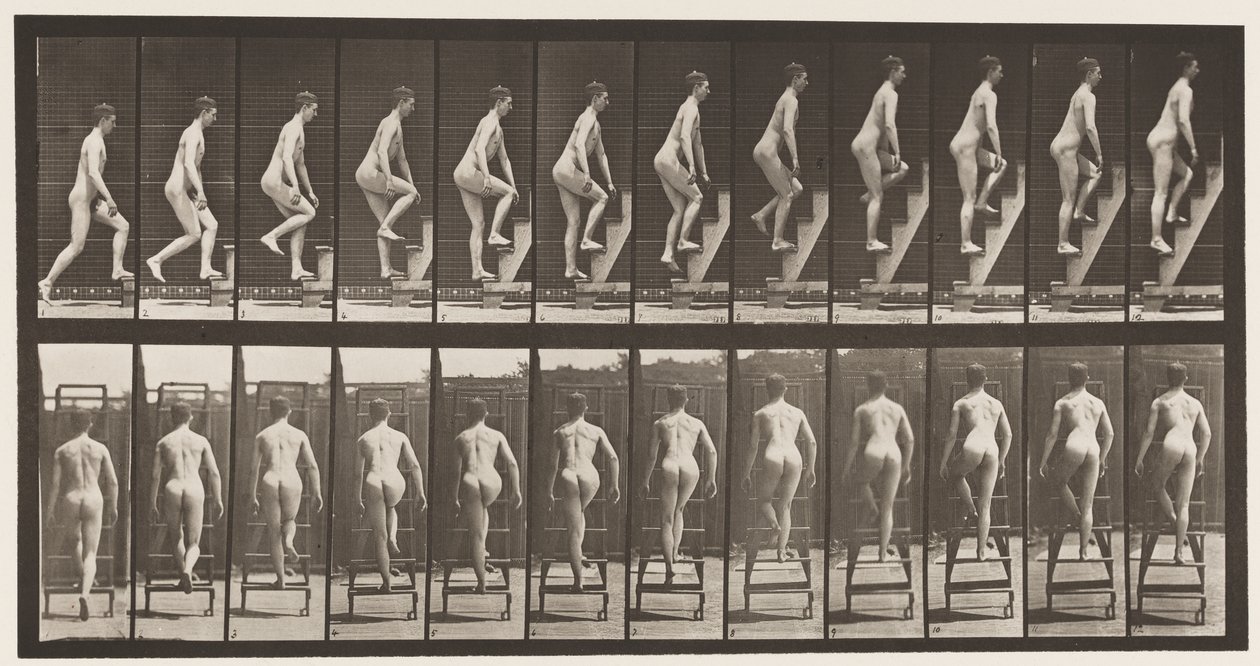 Plaka 109. Yükselen Merdiven, 1872-1885 by Eadweard Muybridge