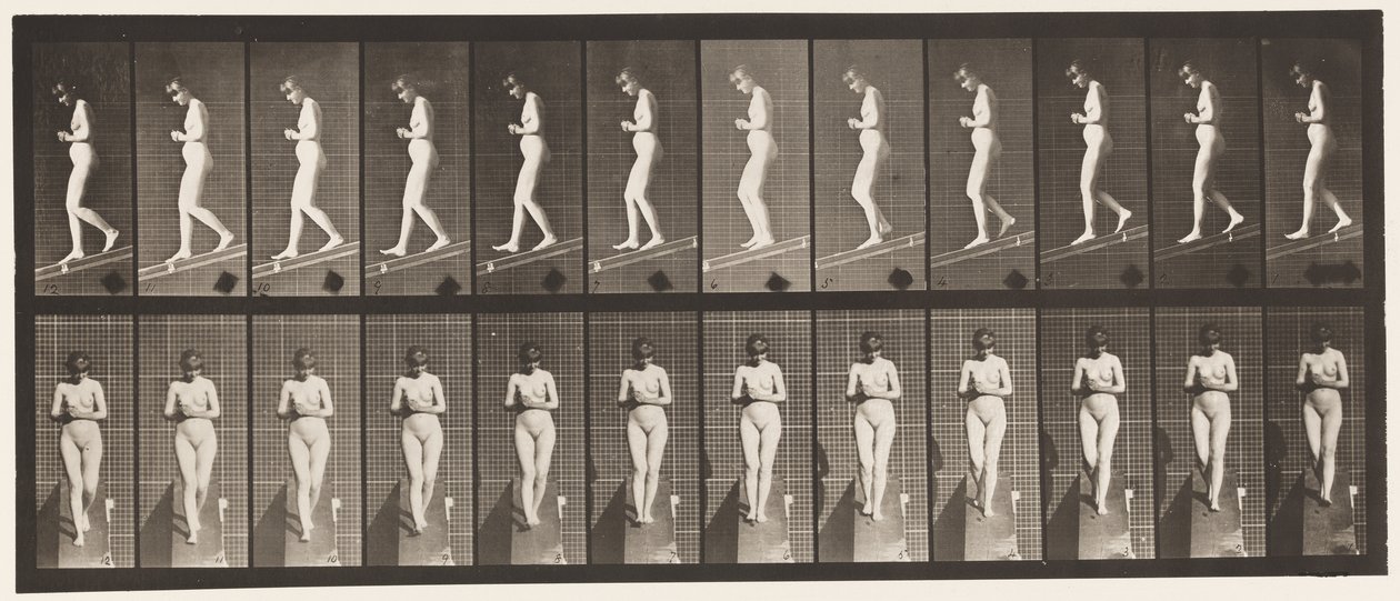 Plaka 115. Eller Önde Birleştirilmiş Olarak Azalan Eğim by Eadweard Muybridge