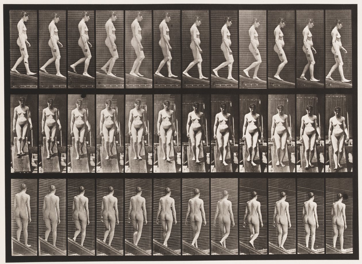 Plaka 117. Azalan Eğim, 1872-1885 by Eadweard Muybridge
