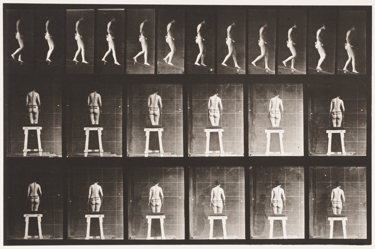 Plaka 118. Azalan Eğim by Eadweard Muybridge