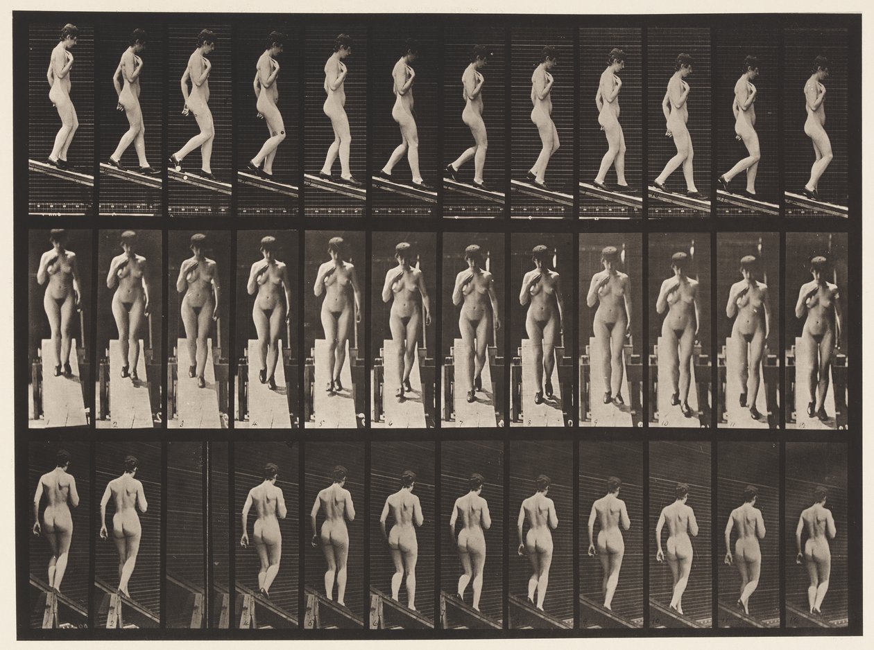 Plaka 119. Azalan Eğim Sağ El Göğüste (Ayakkabı) by Eadweard Muybridge