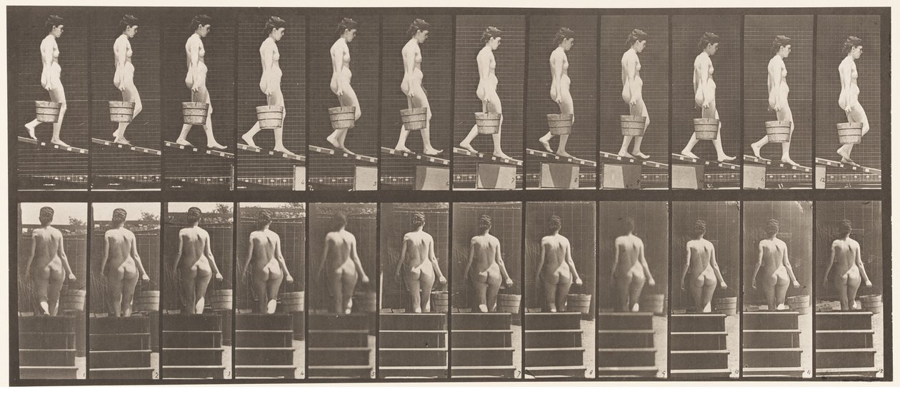Levha 120. Azalan Eğim, Sağ Elden Su Kovası, 1872-1885 by Eadweard Muybridge