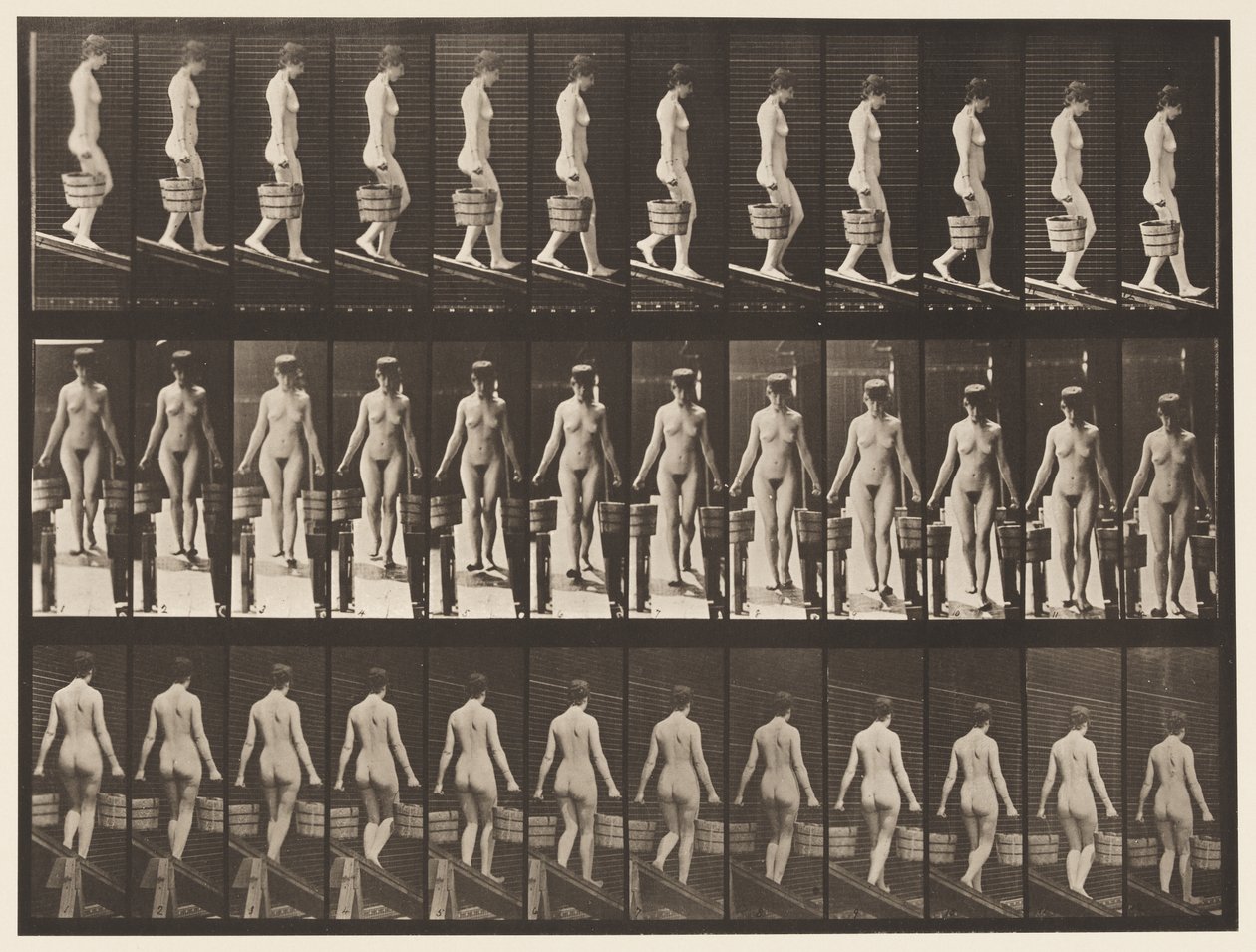 Levha 122. Azalan Eğim, İki Elinde Kova Su, 1872-1885 by Eadweard Muybridge
