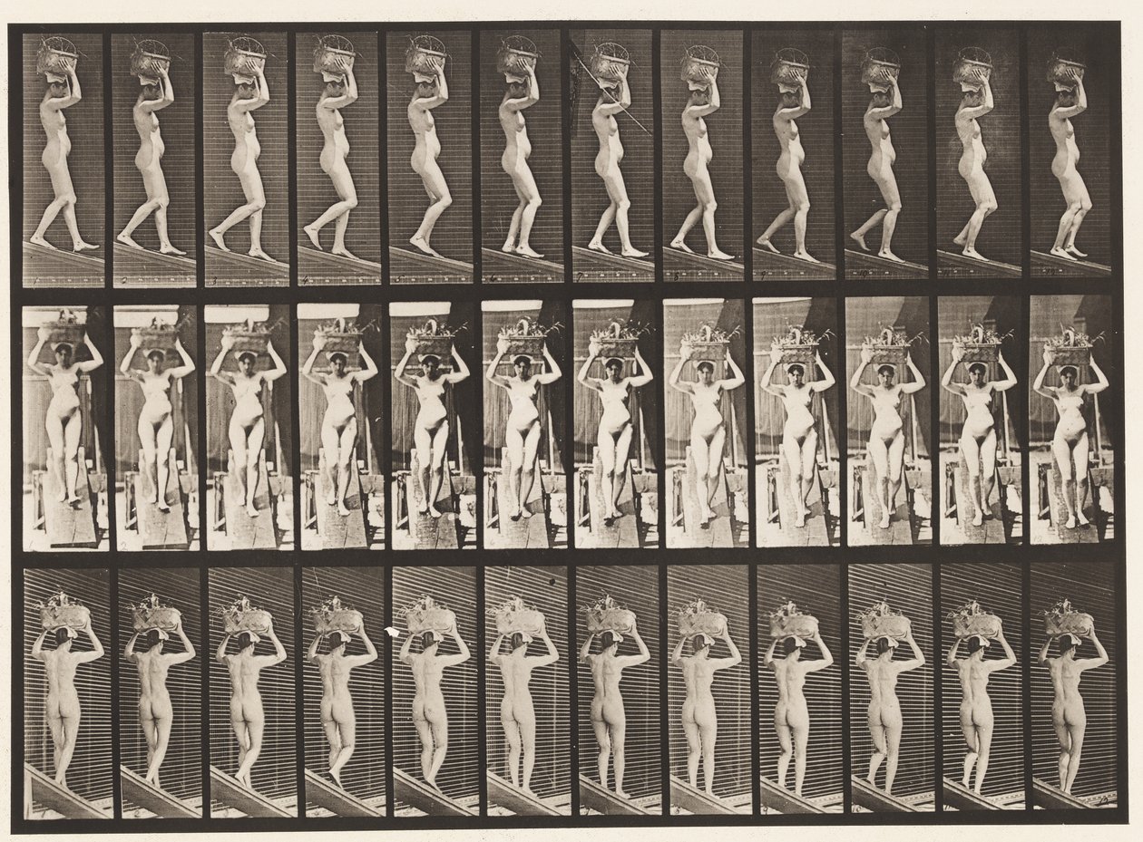 Plaka 123. Azalan Eğim, Başta 20-lb Sepet, Eller Kaldırılmış, 1872-1885 by Eadweard Muybridge