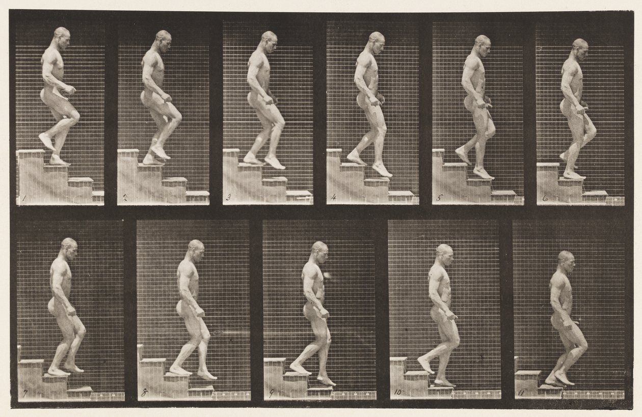 Plaka 126. İnen Merdivenler by Eadweard Muybridge