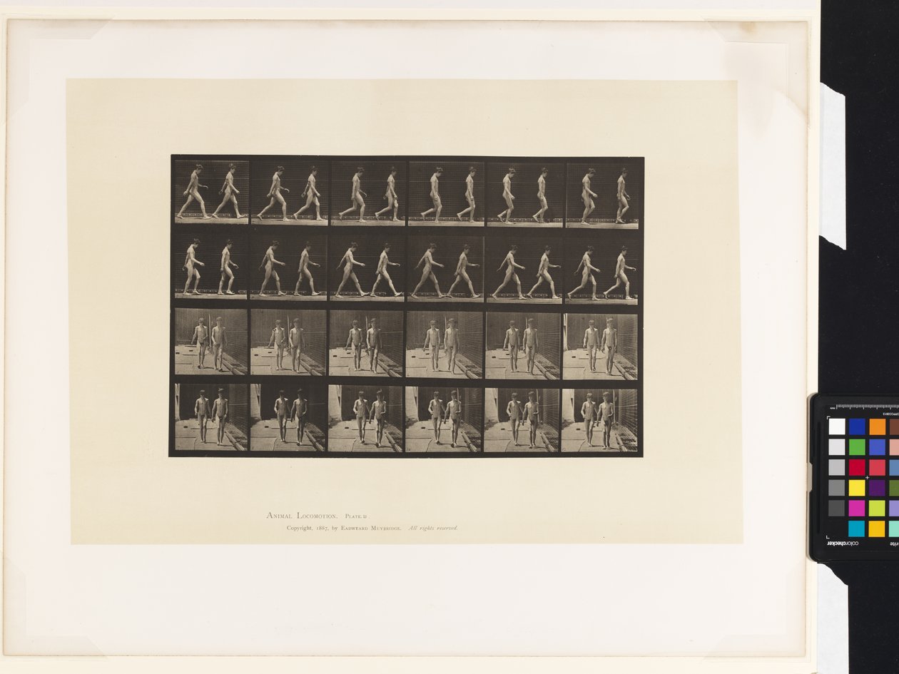 Plaka 12.Yürüyüş by Eadweard Muybridge