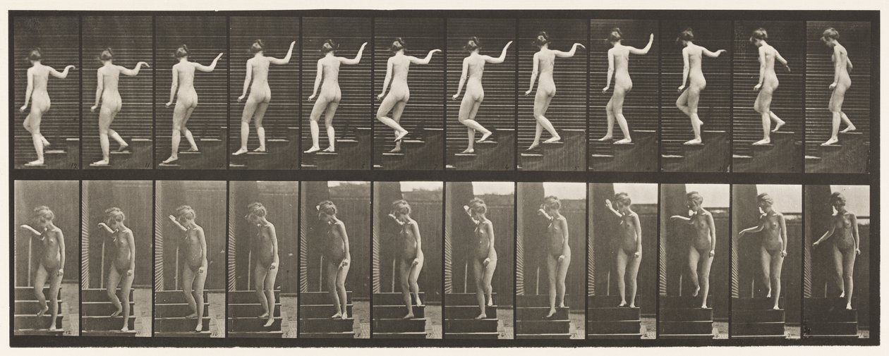 Plaka 132. İnen Merdivenler, Dönüp Etrafa Bakmak ve El Sallamak by Eadweard Muybridge
