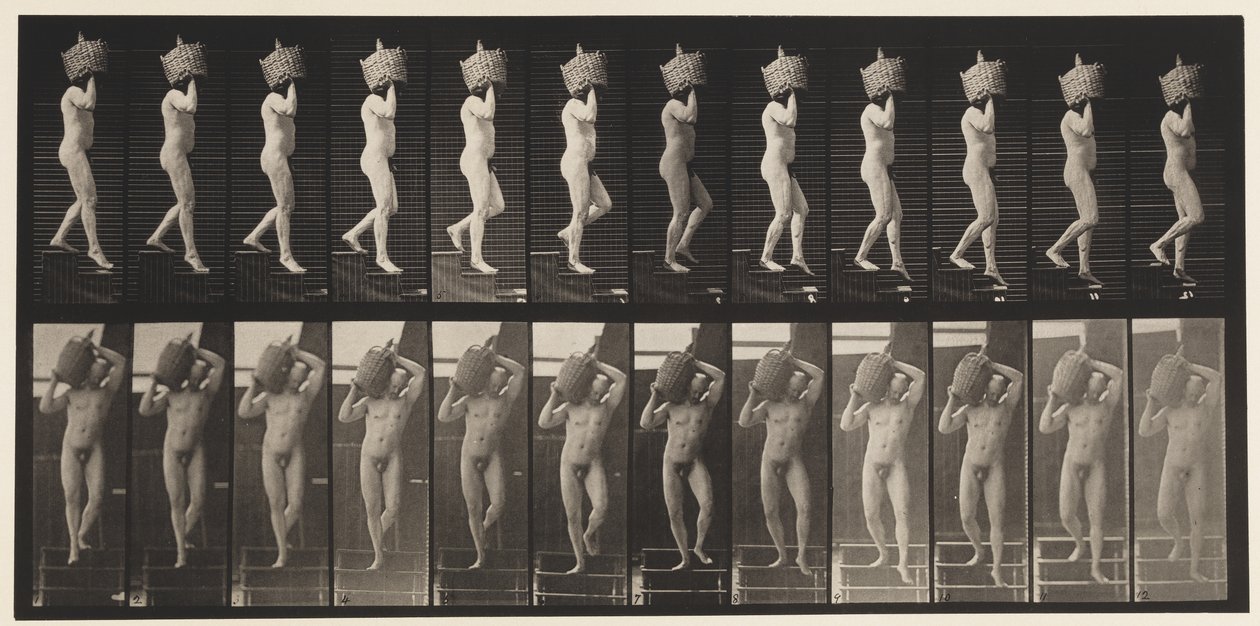 Levha 136. Omuzda İnen Merdivenler Tam Damacana, 1872-1885 by Eadweard Muybridge