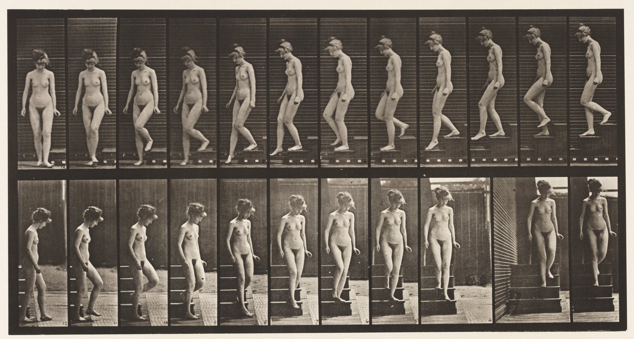 Levha 137. İnen Merdivenler, Dönme by Eadweard Muybridge