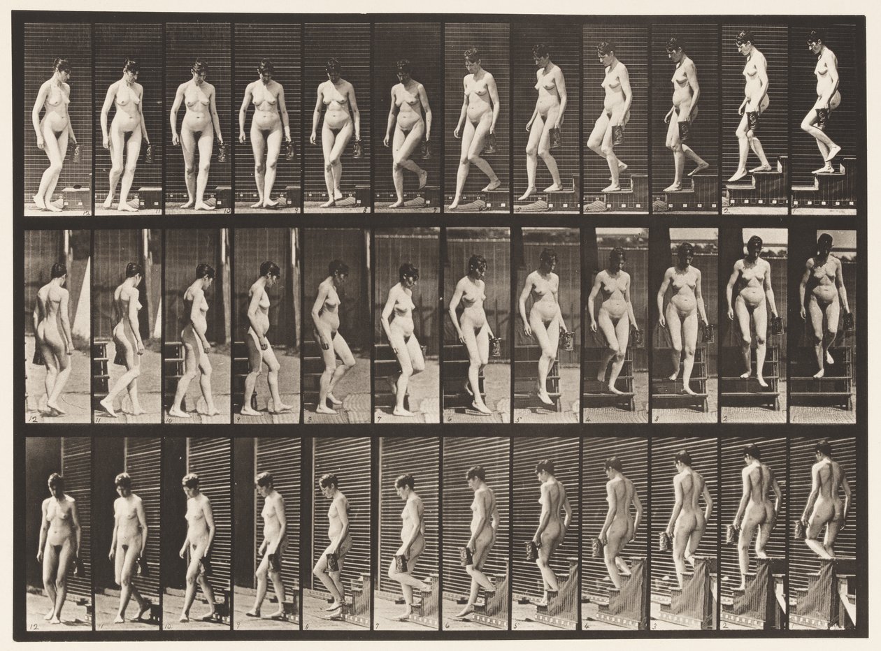 Plaka 138. Dönen Merdivenlerden İnen; Sol Eldeki Sürahi by Eadweard Muybridge