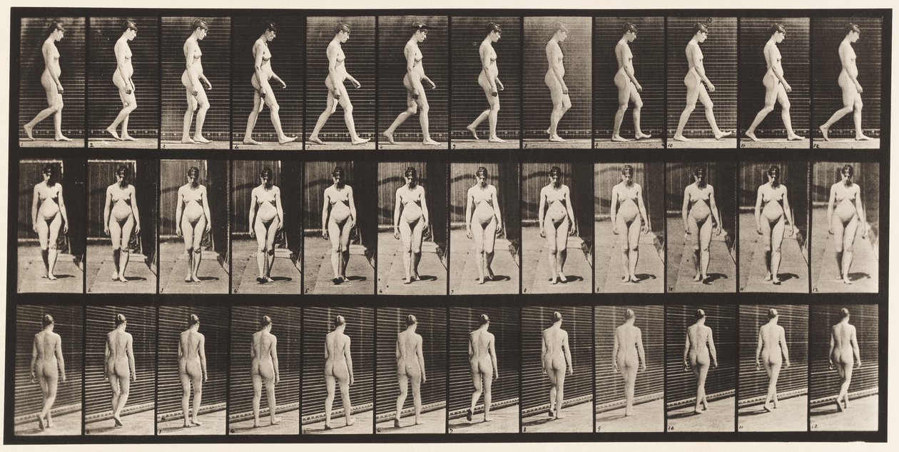 Plaka 13. Yürüyüş, 1872-1885 by Eadweard Muybridge