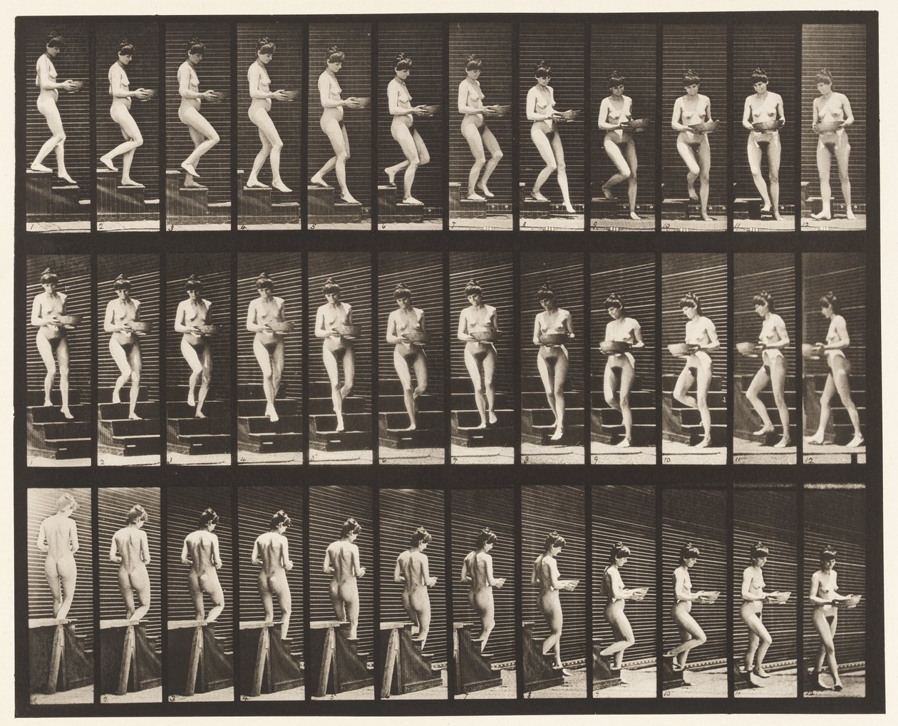 Plaka 144. İnen Merdivenler; Elinde Dönen Lavabo by Eadweard Muybridge