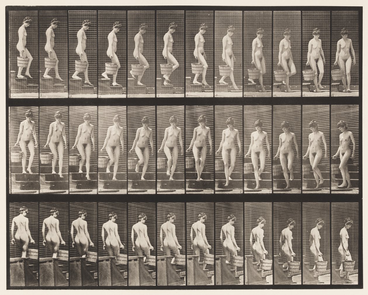 Plaka 145. İnen Merdivenler; Kova Suyu Sağdan Çevirmek, 1872-1885 by Eadweard Muybridge