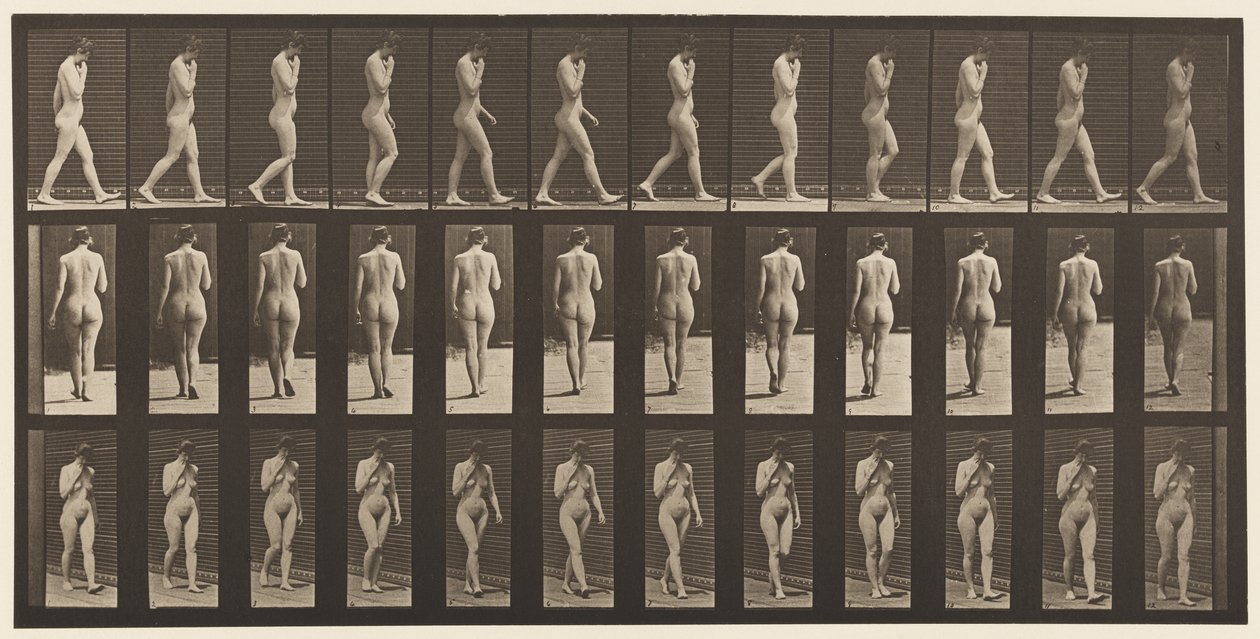 Levha 14. Yürüyüş, Sağ El Çenede, 1872-1885 by Eadweard Muybridge