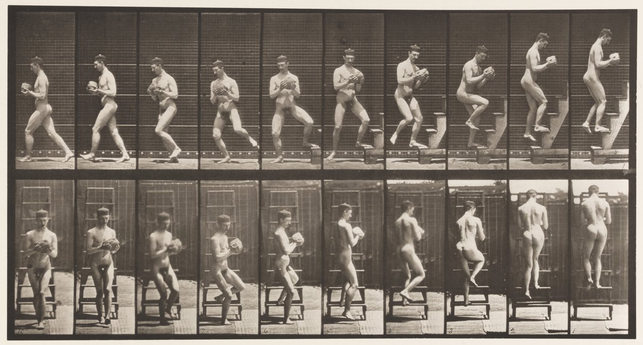 Levha 151. İnen Basamaklı Merdiven, Dönme, Elinde Taş, 1872-1885 by Eadweard Muybridge