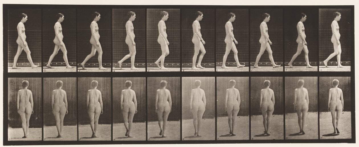 Plaka 15. Yürüyüş by Eadweard Muybridge