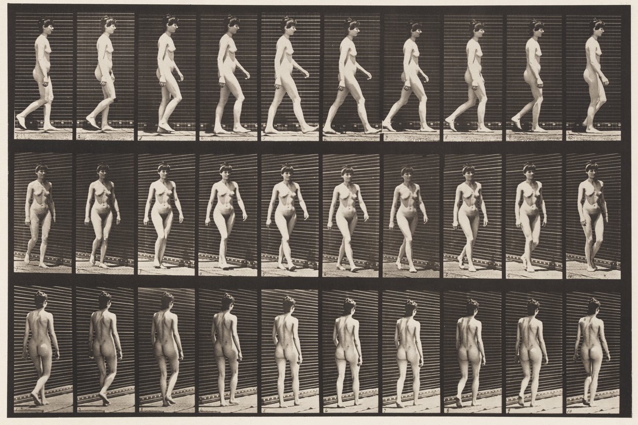 Plaka 16. Yürüyüş, 1872-1885 by Eadweard Muybridge