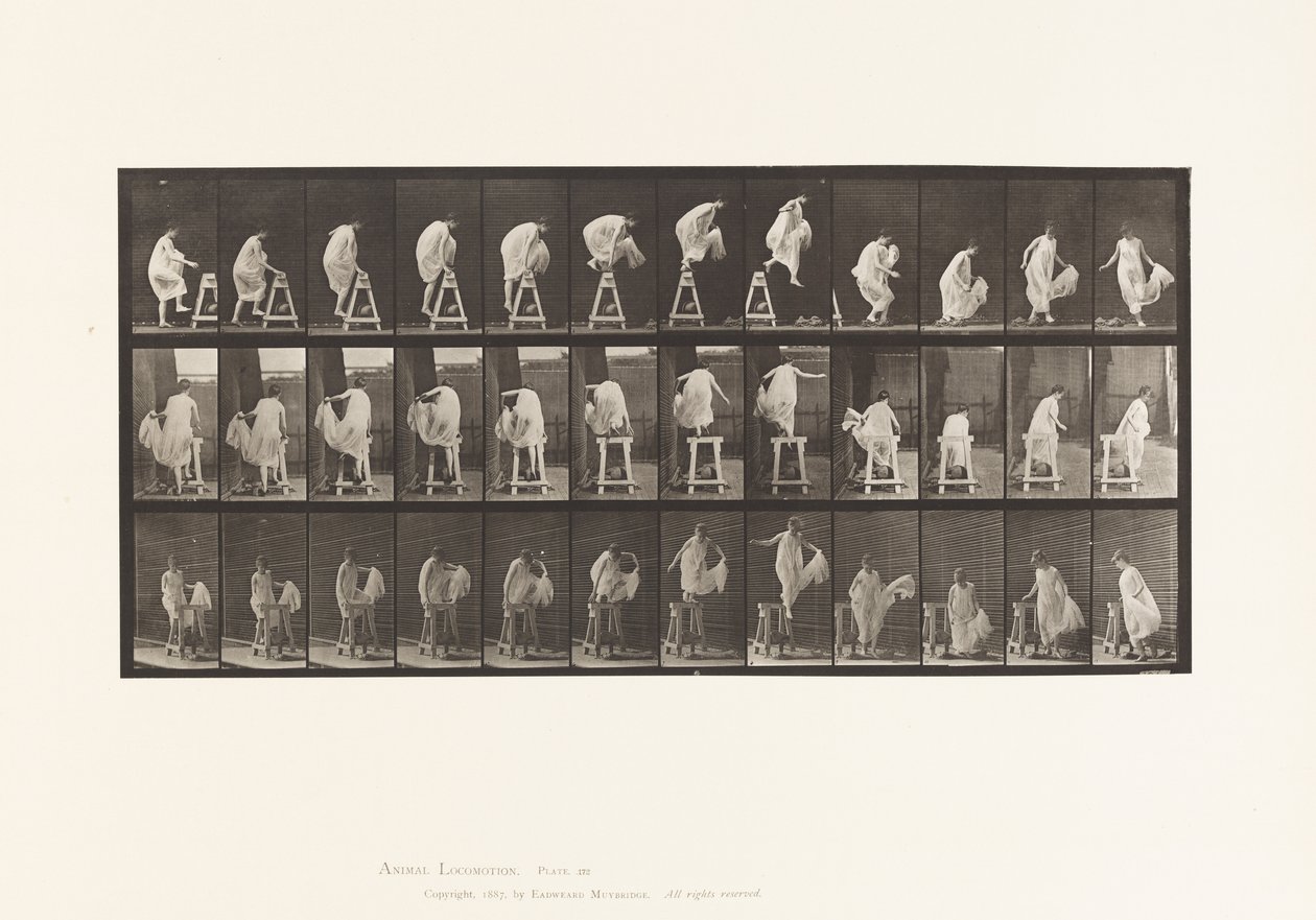 Levha 172. Sehpaya Basmak; Aşağı Atlamak, Dönmek, 1885 by Eadweard Muybridge