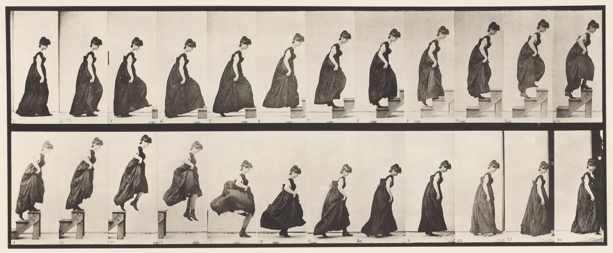 Levha 173. Yükselen Basamaklar ve Atlama, 1885 by Eadweard Muybridge