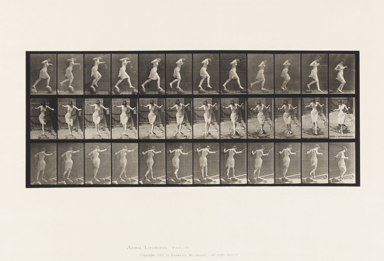 Levha 175. Basamak Taşları Üzerinde Olta ve Teneke İle Dere Geçişi by Eadweard Muybridge