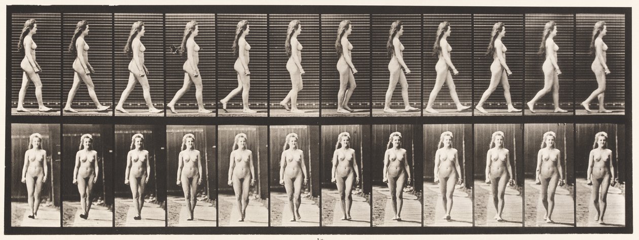 Plaka 17. Yürüyüş, 1872-1885 by Eadweard Muybridge