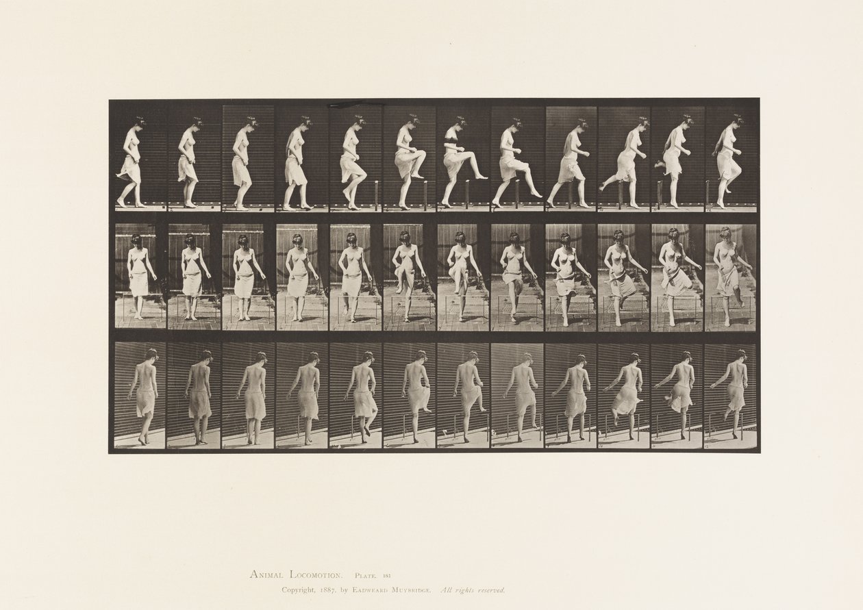 Plaka 181. Bir Çitin Üzerinden Basmak by Eadweard Muybridge