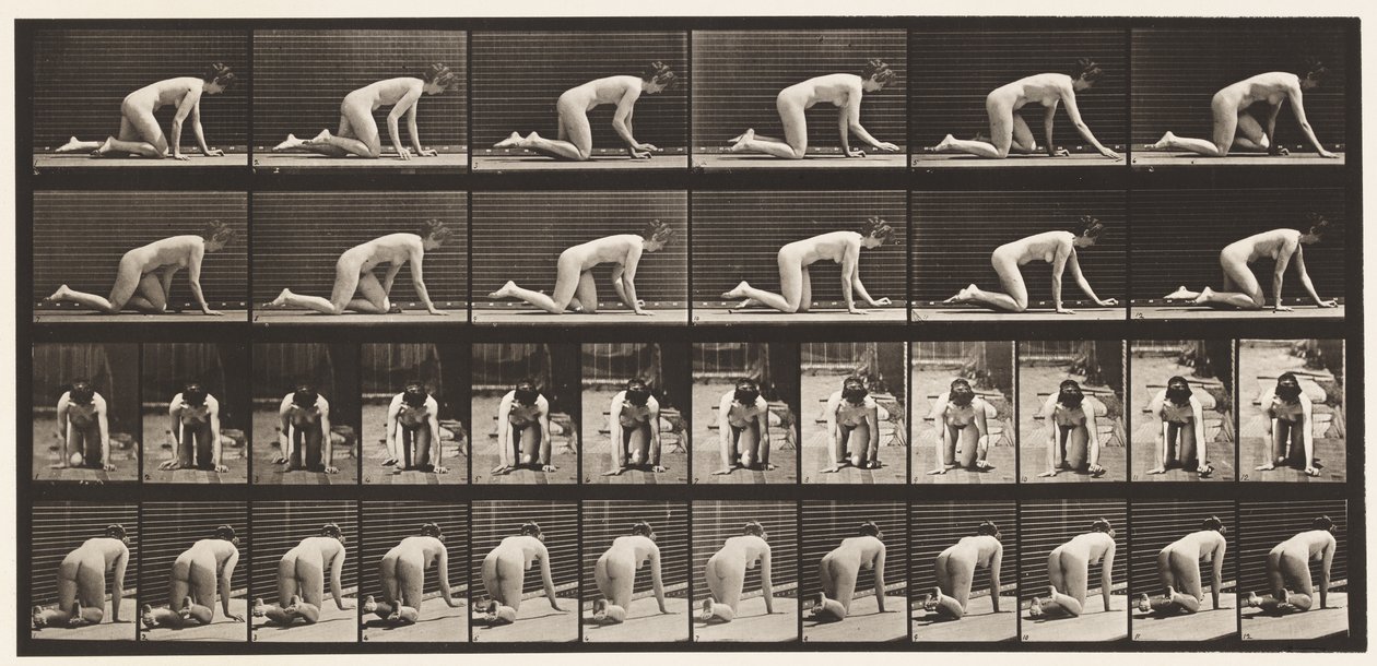 Levha 182. Eller ve Dizler Üzerinde Emekleme by Eadweard Muybridge