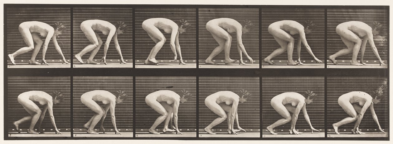 Plaka 183. El ve Ayak Üzerinde Yürüme by Eadweard Muybridge