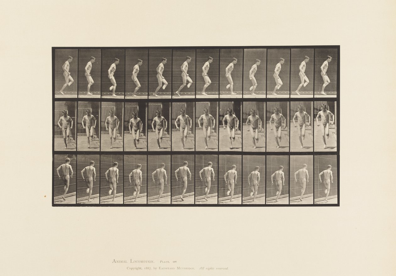 Plaka 186. Sağ Ayakta Zıplama, 1885 by Eadweard Muybridge