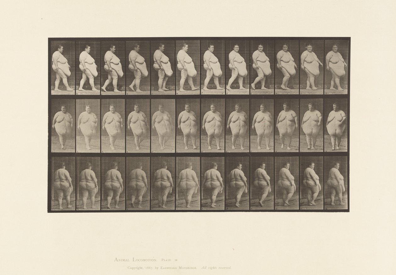 Plaka 19. Yürüyüş, Dönmeye Başlama by Eadweard Muybridge