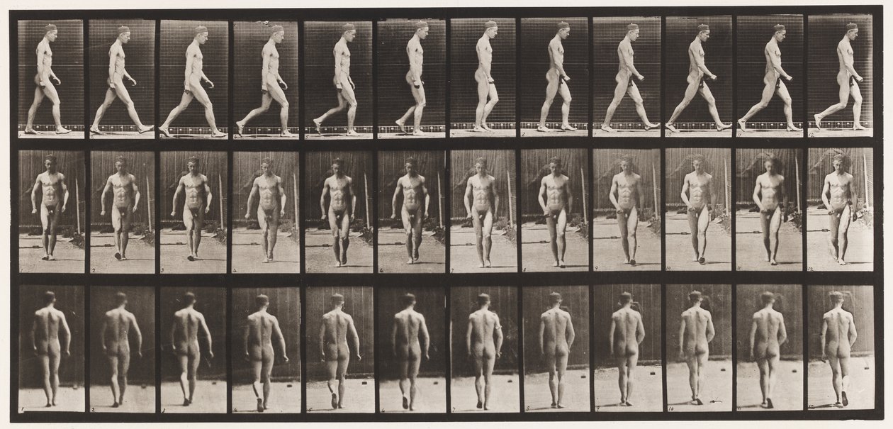Plaka 1. Yürüyüş by Eadweard Muybridge
