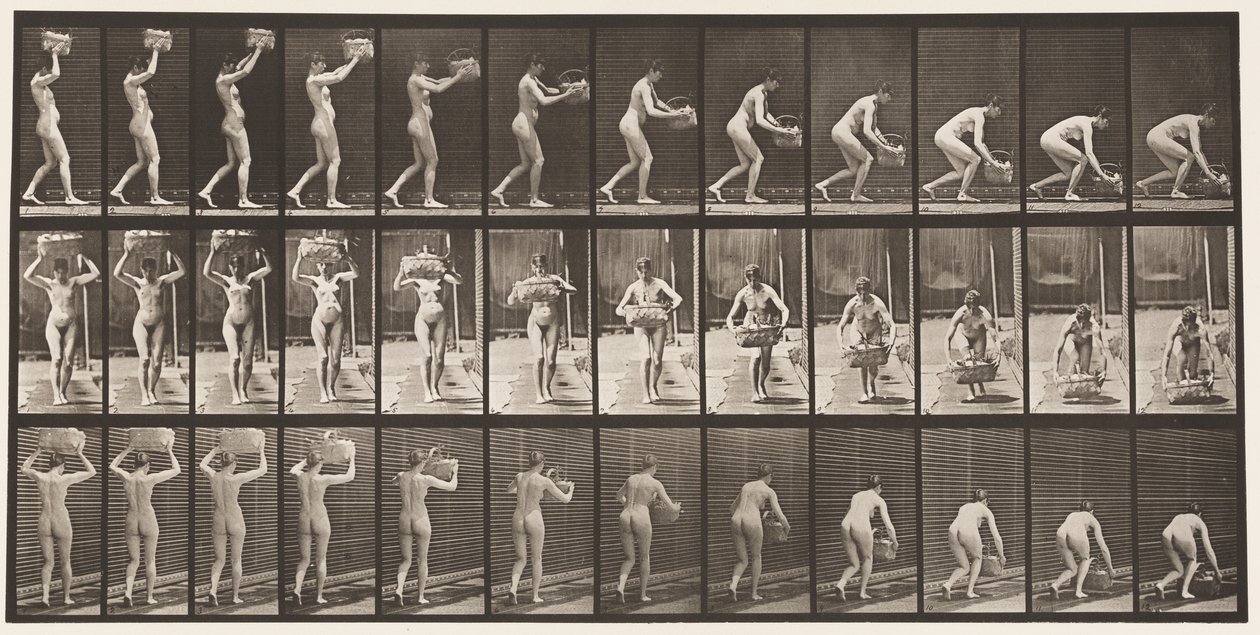 Levha 201. 12 librelik Sepeti Baştan Almak, Yere Koymak, 1872-1885 by Eadweard Muybridge