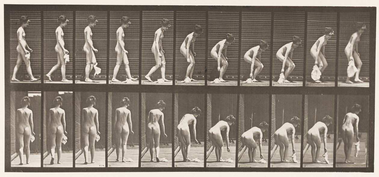 Levha 202. Mendil Bırakma ve Kaldırma by Eadweard Muybridge