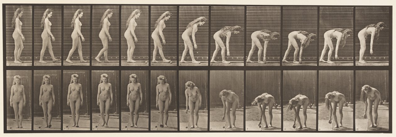 Plaka 204. Topu Almak İçin Durmak by Eadweard Muybridge