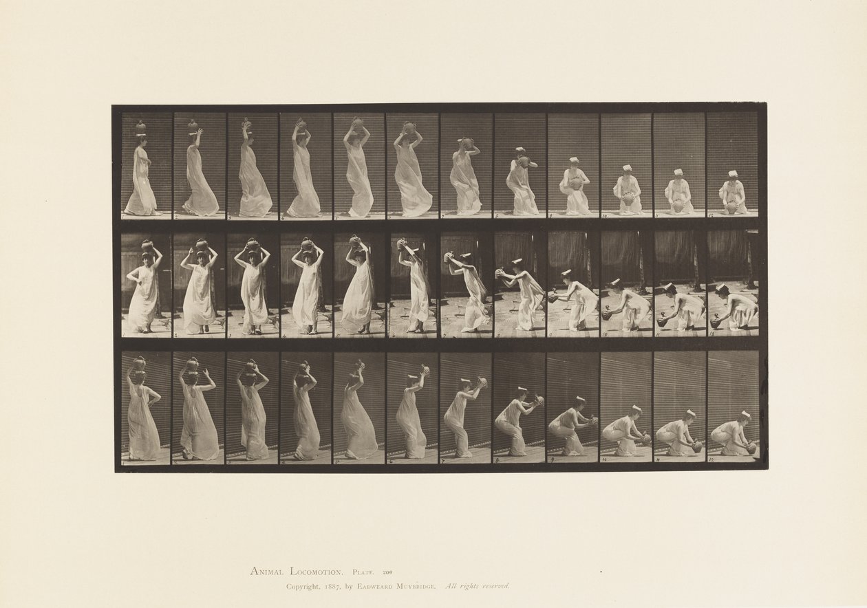 Levha 206. Su Kavanozunun Başta Taşınması, Döndürülmesi ve Yerleştirilmesi by Eadweard Muybridge