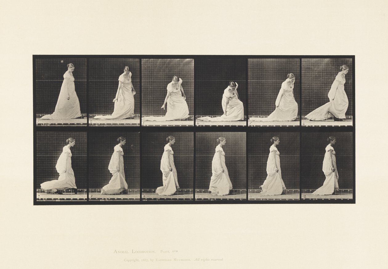 Plaka 207. Durdurma ve Kaldırma Treni, 1885 by Eadweard Muybridge