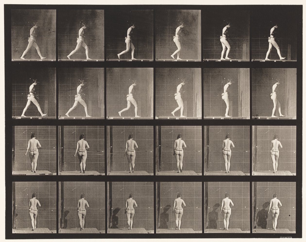 Plaka 20. Yürüme, Sağ Dirsek Bükülmüş by Eadweard Muybridge