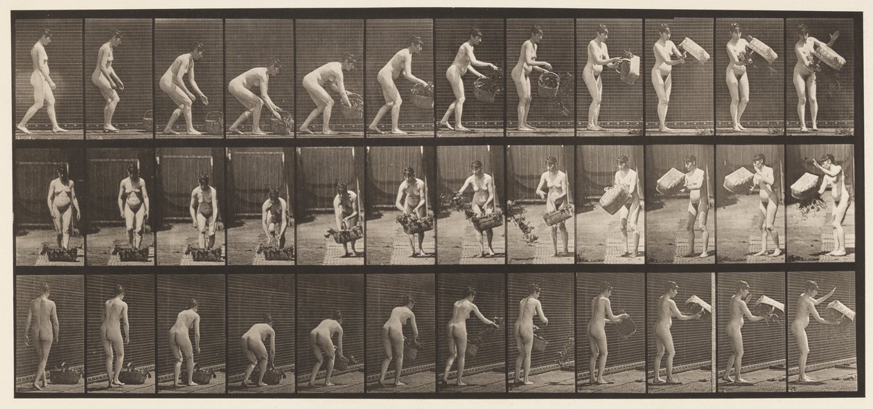 Plaka 213. Kaldırma ve Boşaltma Sepeti by Eadweard Muybridge