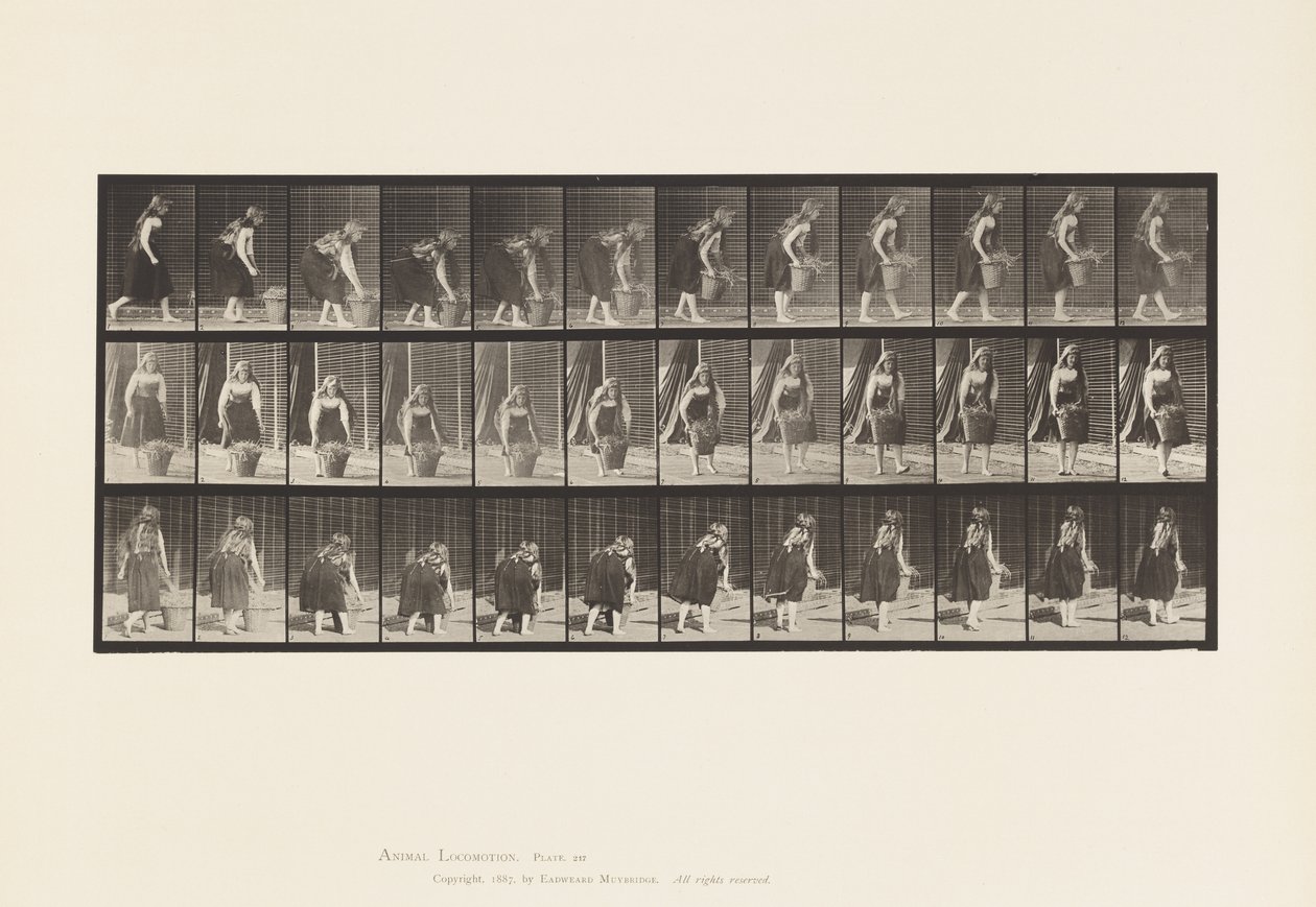 Levha 217. Durma, Kaldırma ve Taşıma 30 lb Sepet, 1885 by Eadweard Muybridge
