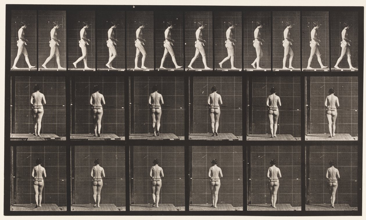 Plaka 21. Yürüme, Her İki Dirsek Bükülmüş by Eadweard Muybridge