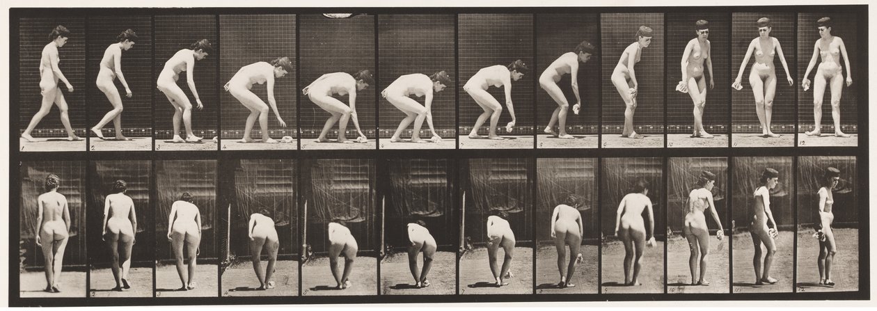Levha 220. Mendil Kaldırma ve Eğilme ve Döndürme by Eadweard Muybridge